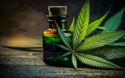 ¡El ABC del CBD: Guía para Principiantes!